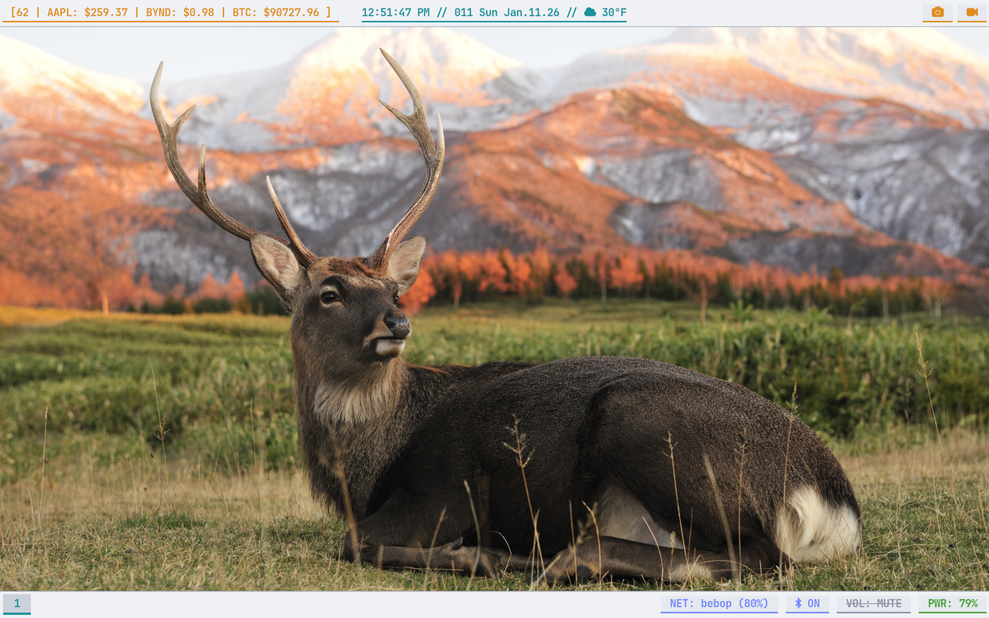 A screenshot of the Sway desktop showing a terminal and system monitor