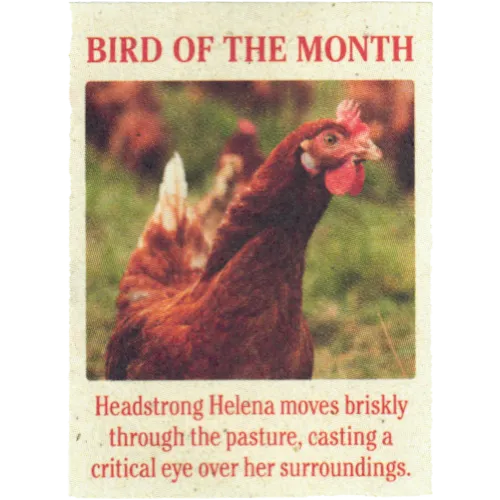 BOTM - Helena